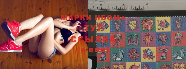 мдпв Протвино