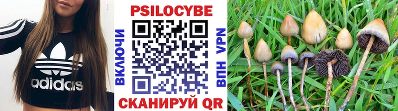 Купить закладки  Ханты-Мансийск  Псилоцибиновые грибы прущие грибы 